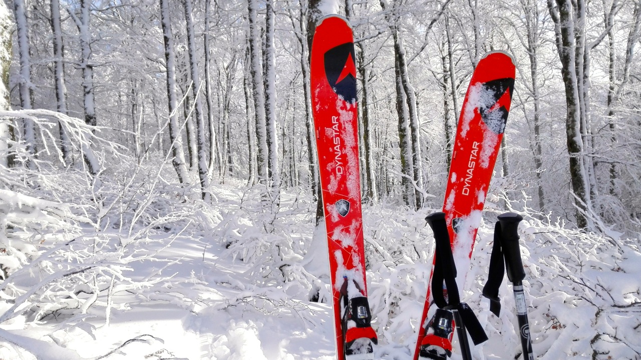 ski dynastar